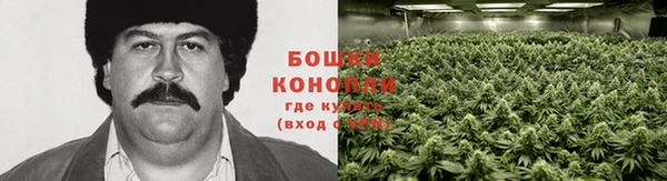 дистиллят марихуана Бородино
